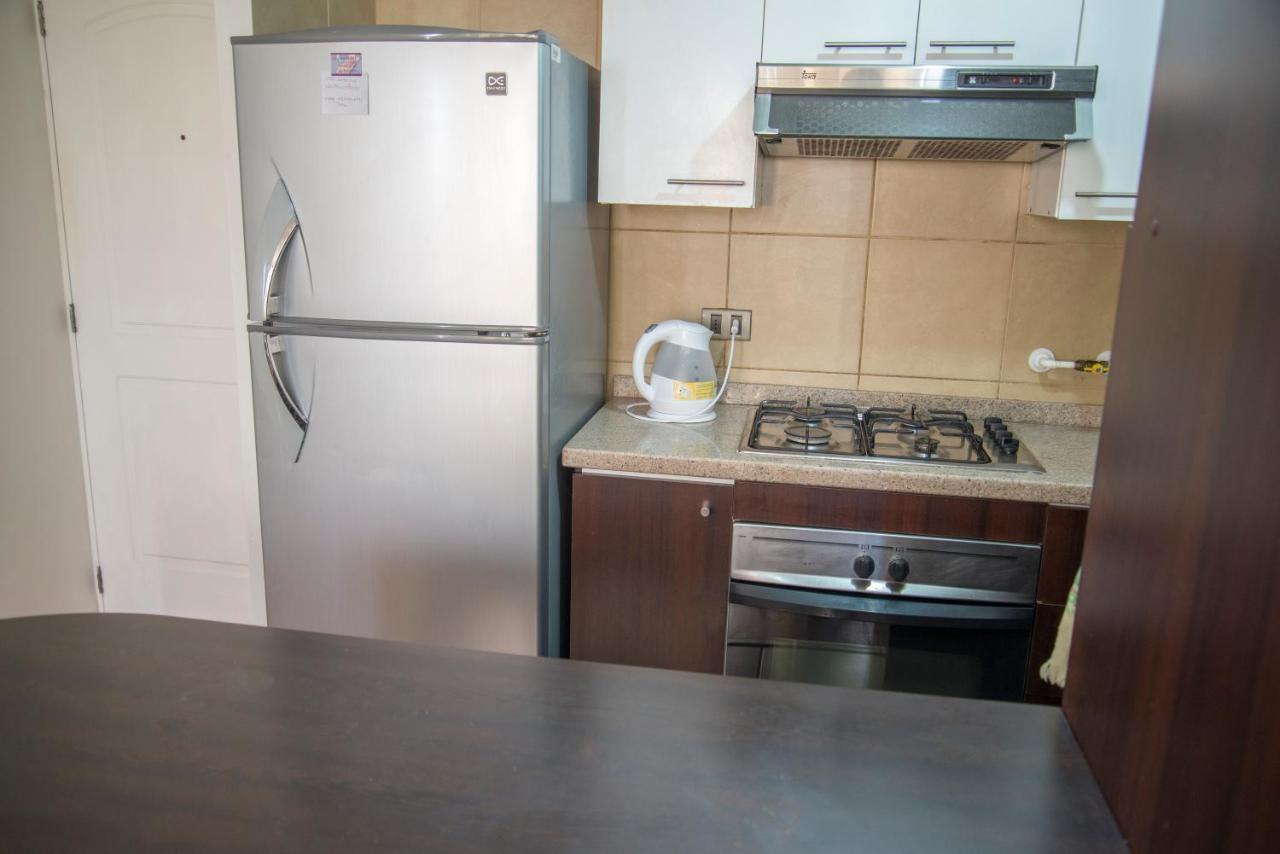サンティアゴBellavista Departamento Amobladoアパートメント エクステリア 写真